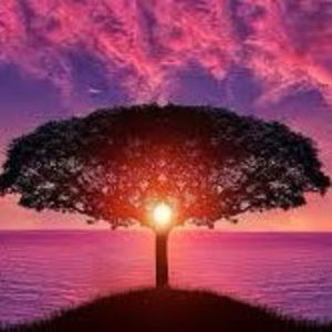 Meet your Posher, Danika